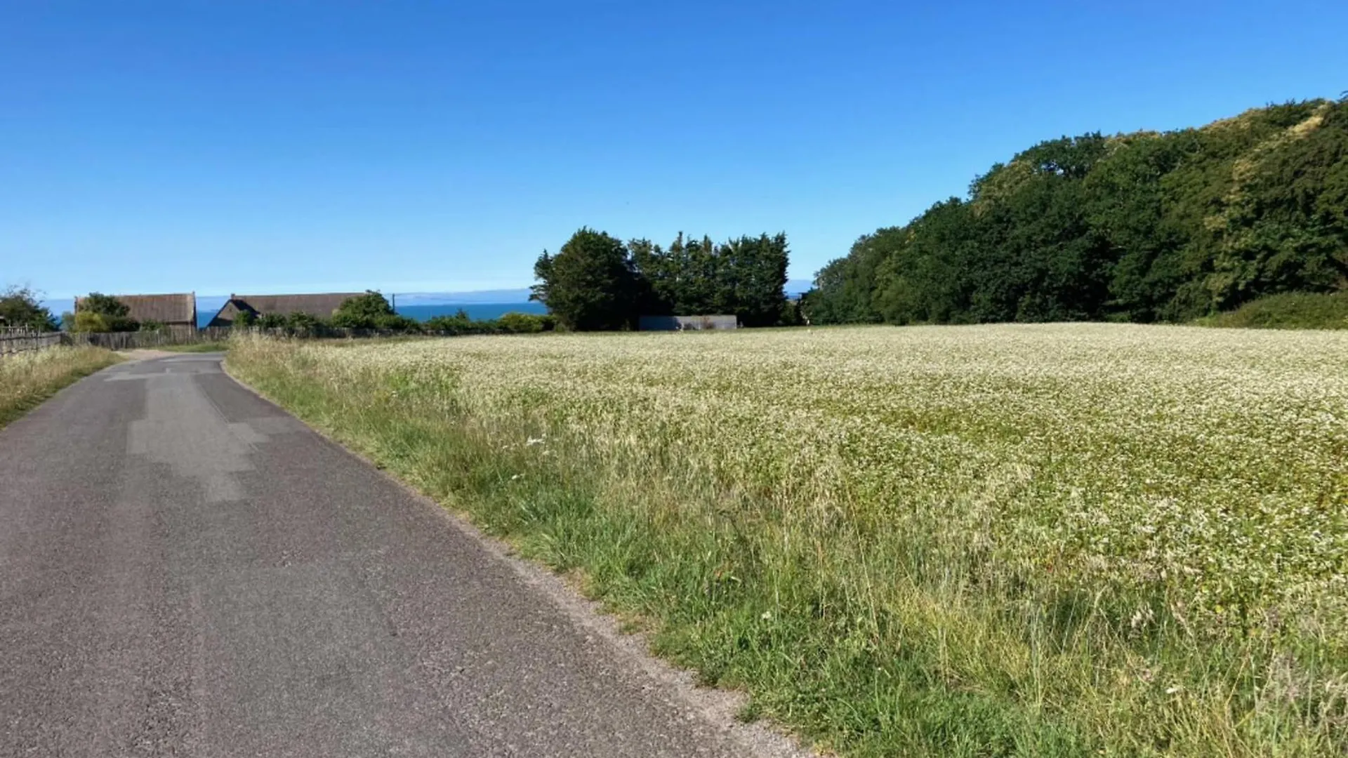 Feriehus Superb House With Garden - Saint-Coulomb Villa Frankrig